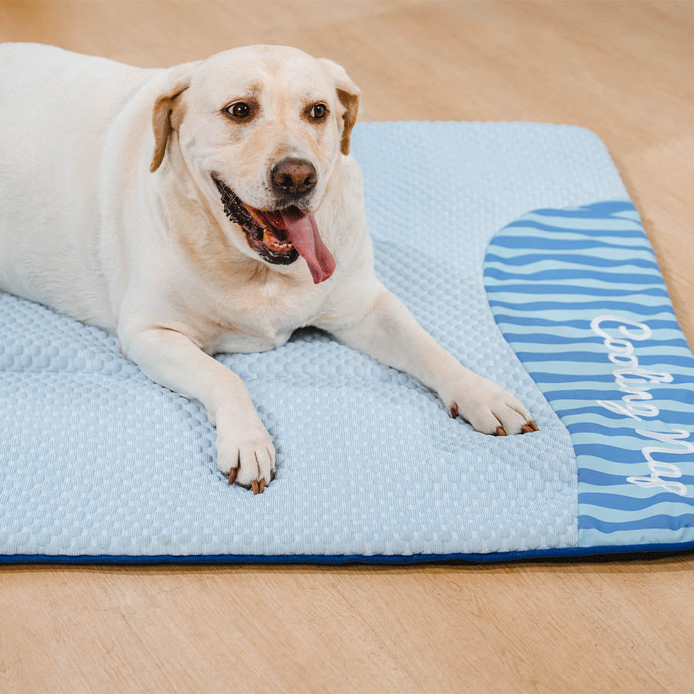Non-slip base texture of a pet cooling mat, ensuring stability on various floor surfaces.