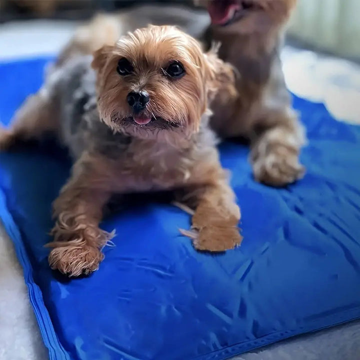 Dog Cooling Mat with Pressure Activated Gel, perfect for summer pet comfort and keeping dogs cool.