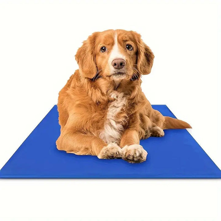 Portable pet cooling pad featuring non-toxic gel, ideal for a comfortable, cool rest for dogs.