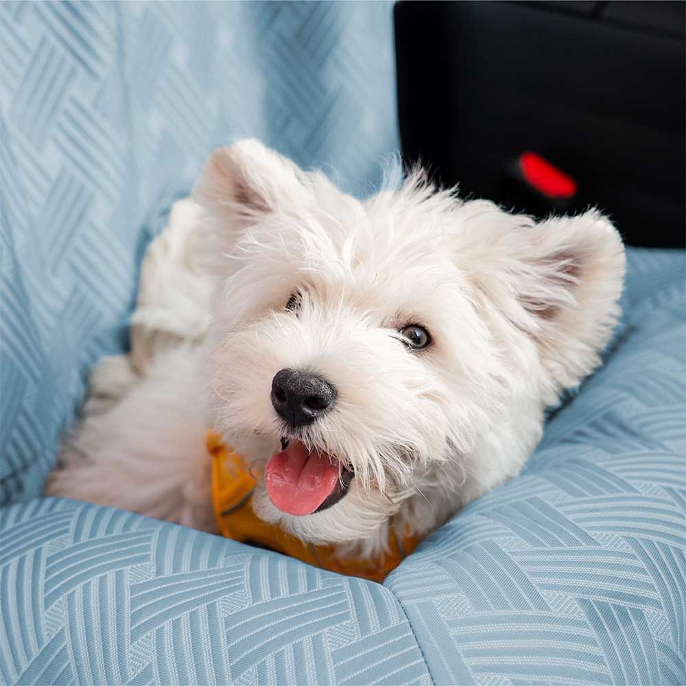 Cooling dog bed: The breathable material of the bolster car seat bed visible, ensuring pet comfort.