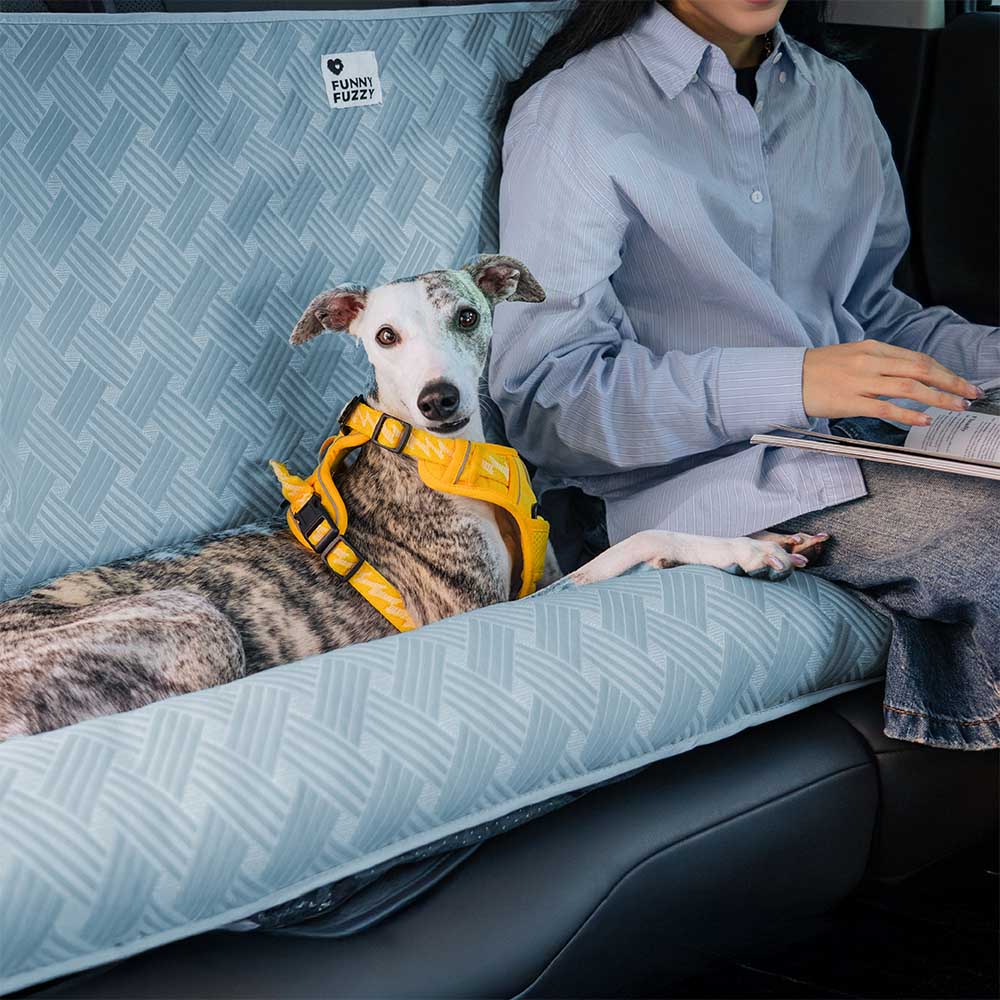 A dog's paw resting on the soft, yet supportive bolster of the Dog Cooling Travel Car Seat Bed.