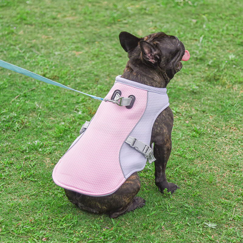 Pet cooling apparel, an adjustable dog vest for optimal summer heat relief and outdoors.