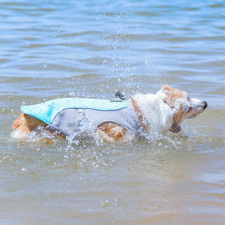 Lightweight dog vest for summer, providing heat relief and UV protection for active pets.