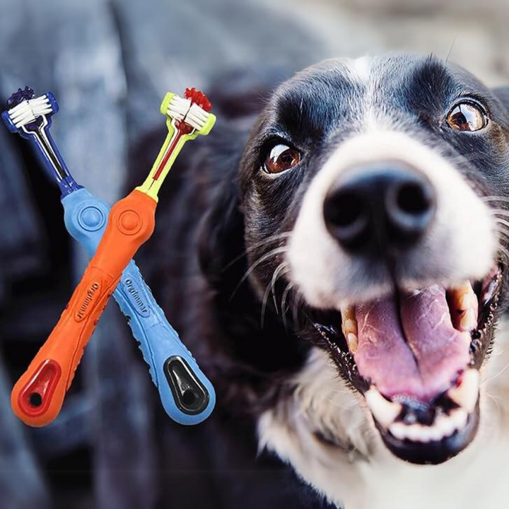 Dog Dental 3-Sided Toothbrush for tartar control & fresh breath. Essential pet dental care for dogs.