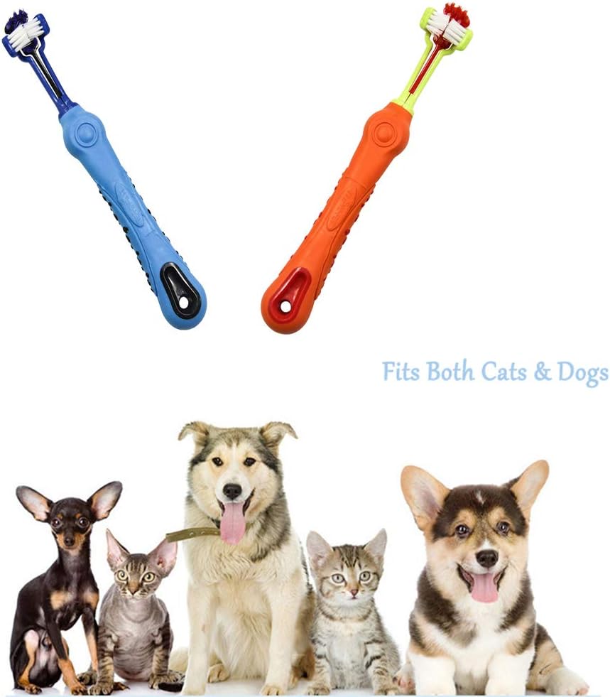 Dog dental care: 3-sided toothbrush for effective tartar control and improved dog breath.