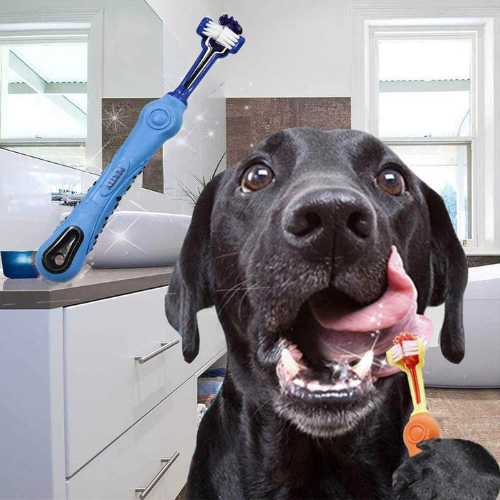 Dog accessory: 3-sided toothbrush, perfect for daily dog hygiene and maintaining fresh breath.