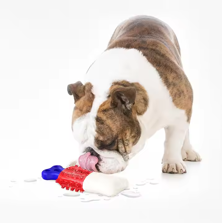 Interactive dog chew toy with sturdy suction, designed for dental cleaning and prolonged play for dogs.