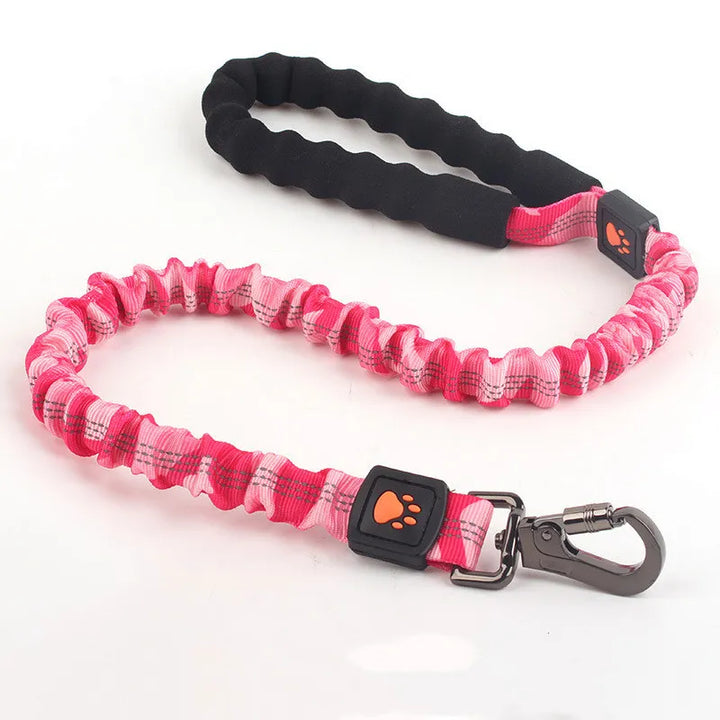 Durable nylon dog lead with elasticated shock absorption, an essential pet walking accessory