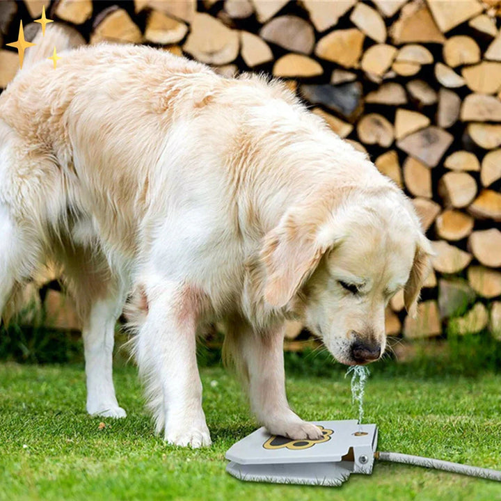 Aerial view of a dog playing fetch on a blue interactive water fountain enrichment play mat