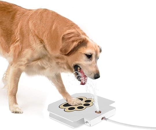 Golden retriever puppy playfully pouncing on an outdoor water spray dog toy and pet accessory
