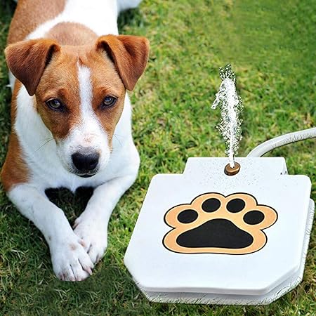Interactive dog water fountain play mat with multiple jets, perfect for summer fun and pet care