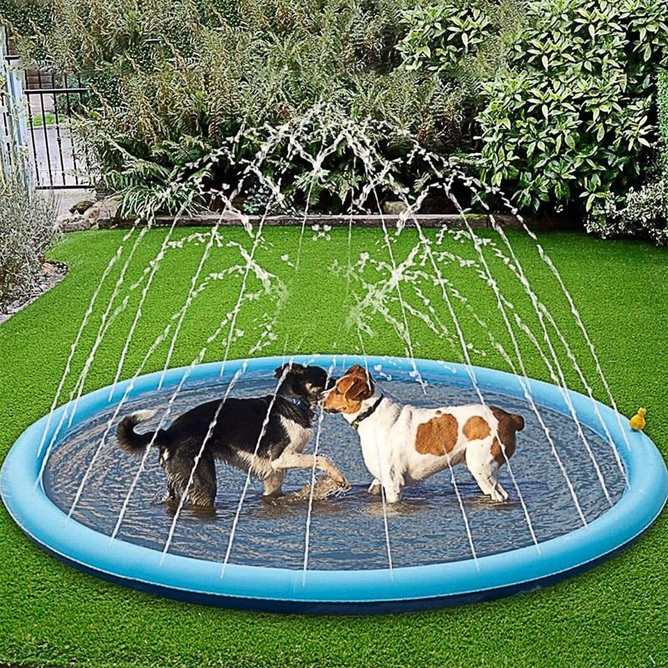 Unisex dog water fountain toy for summer play and hydration, activated by paw