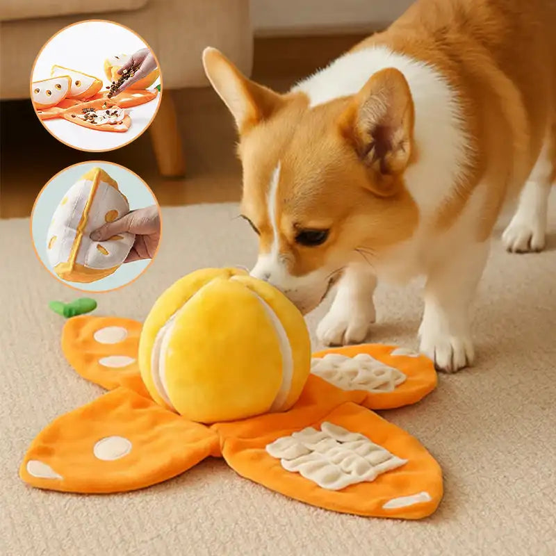 Dog Fruit Puzzle Plush Toy, interactive pet supplies for mental stimulation and enrichment