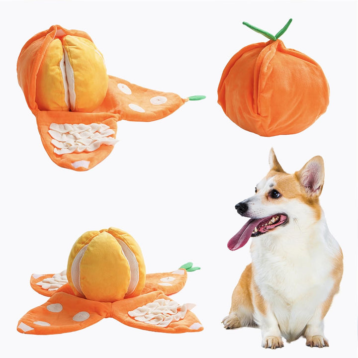 Squeaky Dog Fruit Puzzle Plush Toy, hide and seek enrichment for dogs