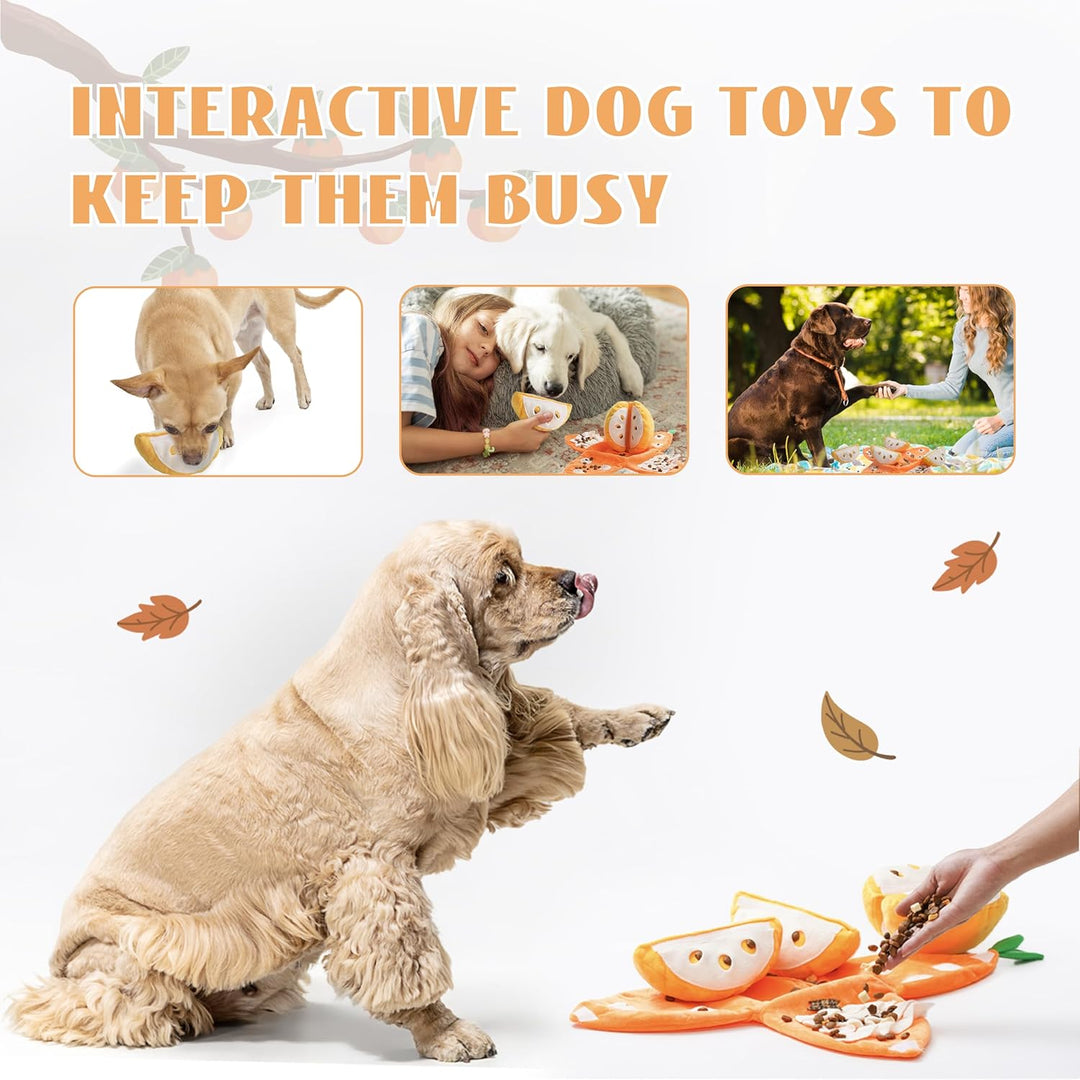 Interactive Dog Toy: Fruit Puzzle Plush with squeakers for engaged play