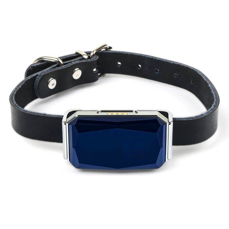 Close-up of a black dog GPS tracker attached to a durable nylon collar with silver buckle