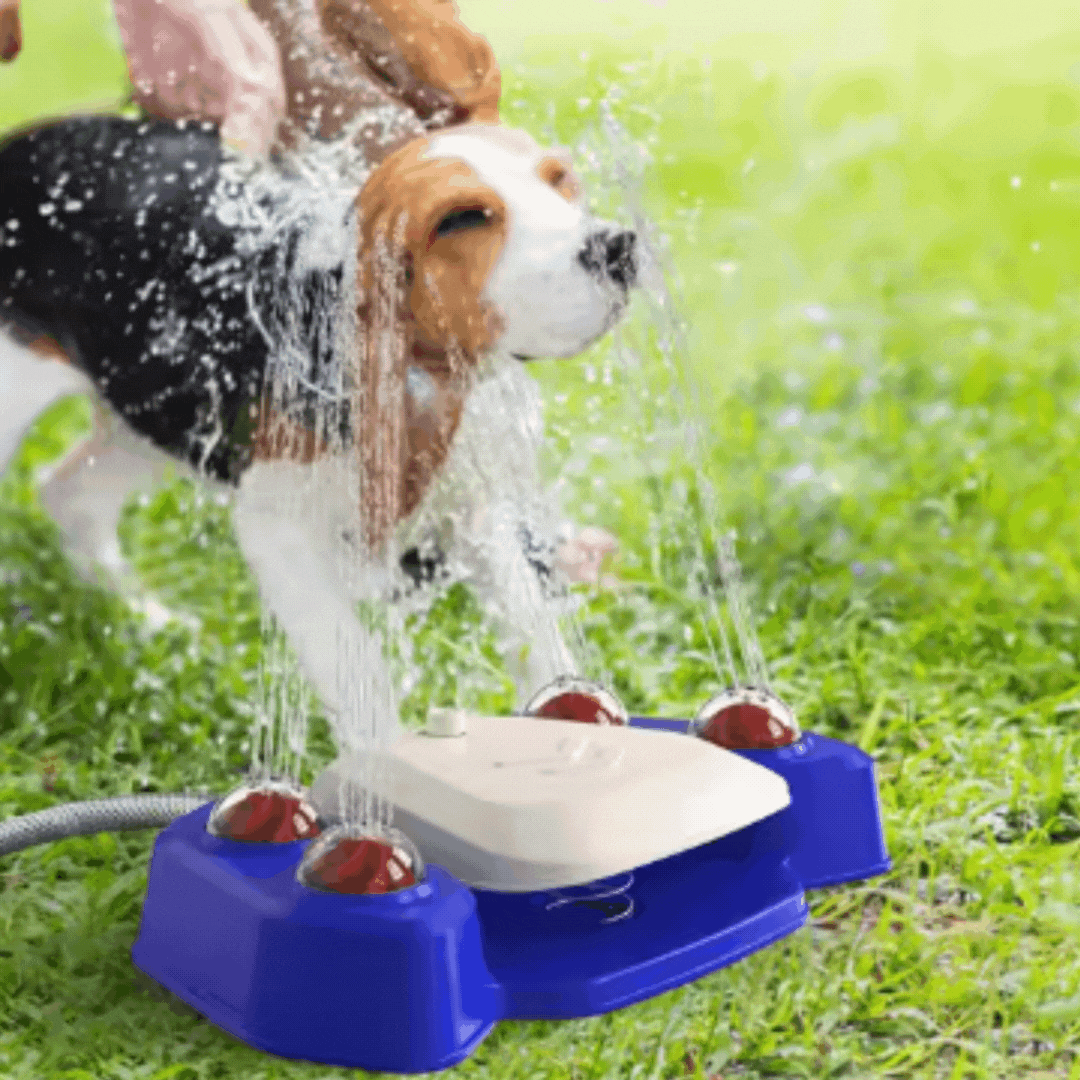 Dog happily playing on a blue interactive water sprinkler mat with jets, enjoying summer fun.