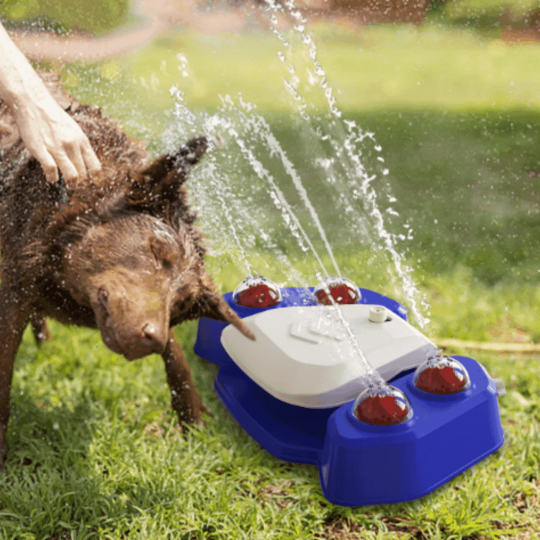 Golden Retriever puppy splashes in an outdoor pet sprinkler mat for cooling and play.