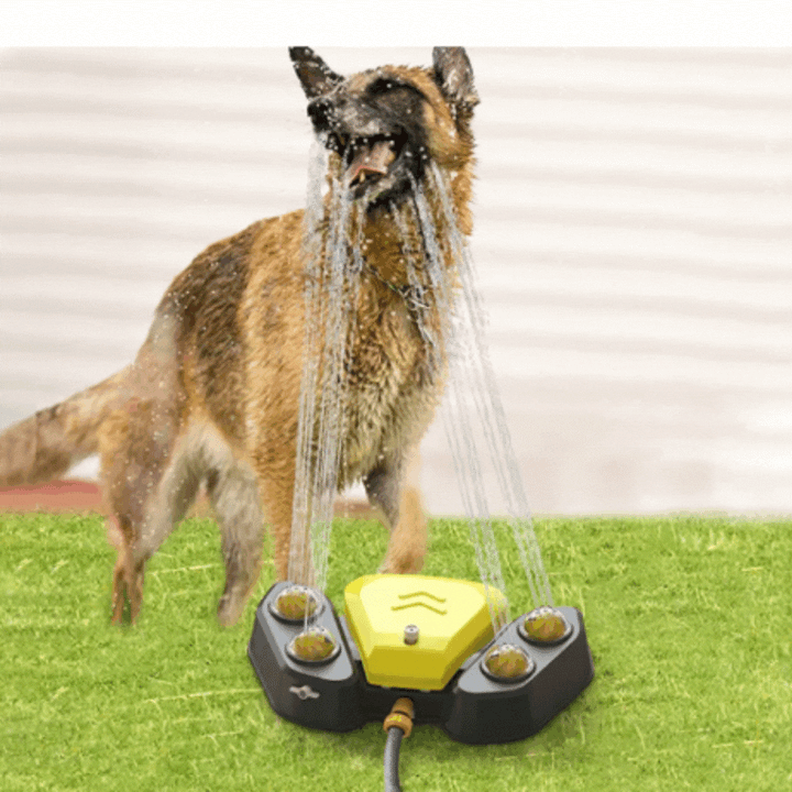 Interactive dog water mat with playful sprinks, perfect dog toy for hot summer days.