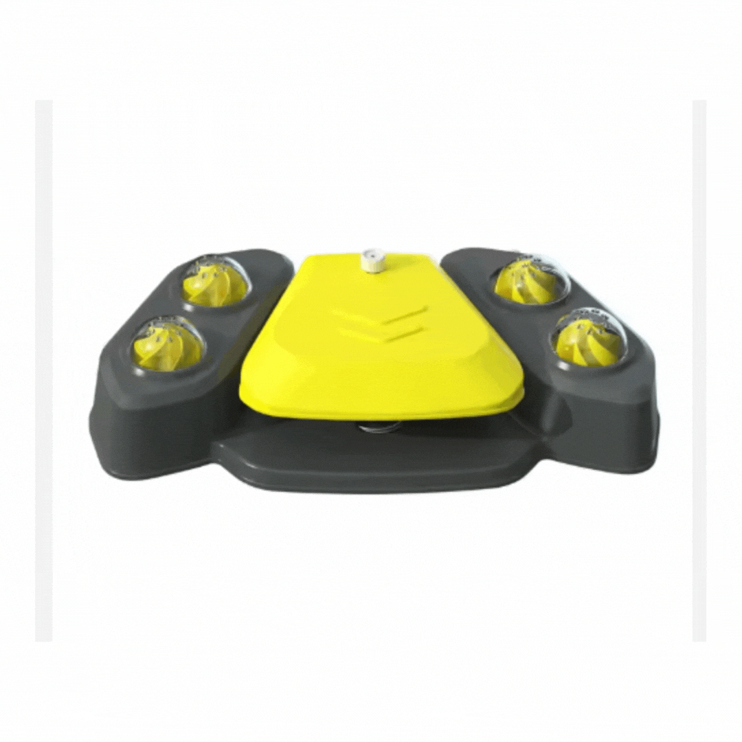 Dog accessories: cooling sprinkler mat providing summer fun and hydration for an active pet.