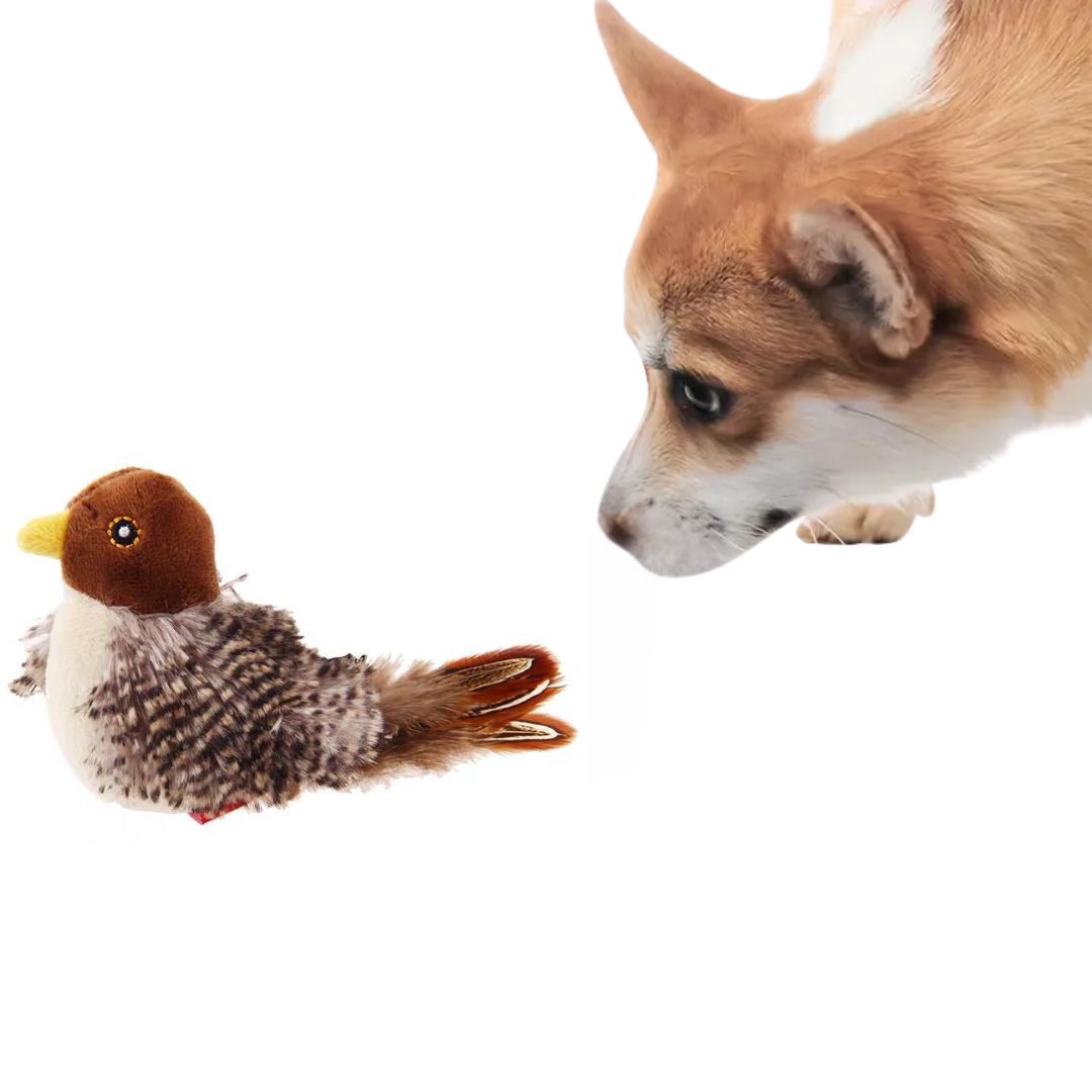 Dog happily playing with an interactive pet bird squeak toy, perfect for fetch and enrichment