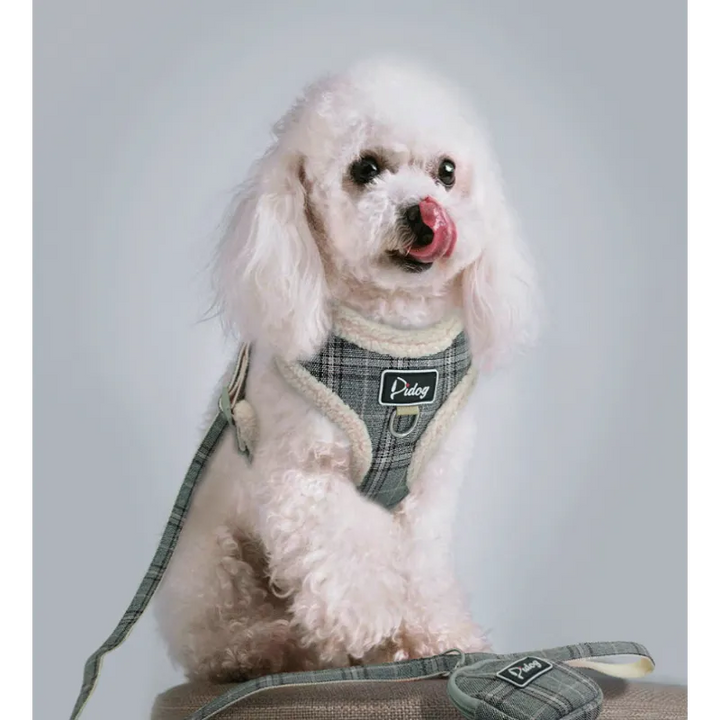 Pet supplies: Checked dog harness and leash set with integrated waste bag dispenser, perfect for small and medium dog breeds.