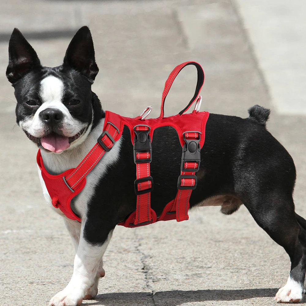 Adjustable reflective dog harness for outdoor activities, training, and enhanced visibility. Pet supplies.