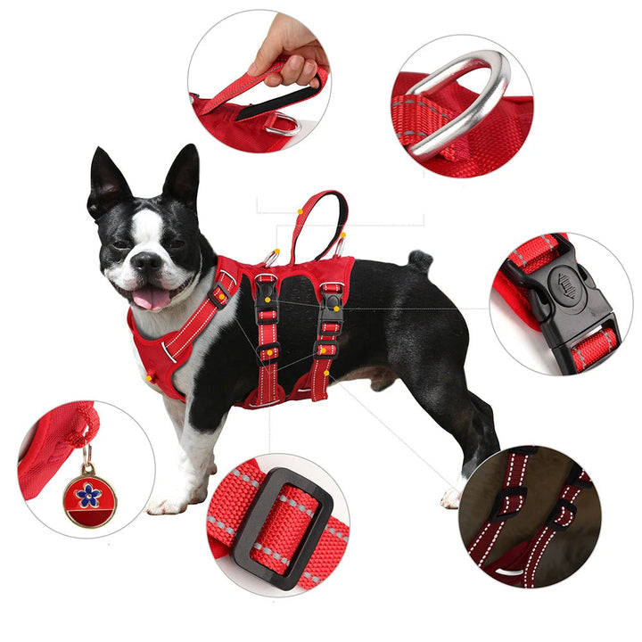 Durable dog training harness, waterproof, reflective, and adjustable for medium to large breeds