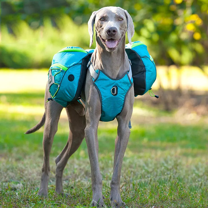 Dog hiking backpack with waterproof pockets, adjustable straps, and reflective trim for outdoor adventures