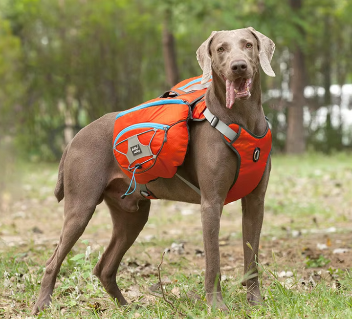 Side view of a pet rucksack showing secure buckles and ample storage for dog travel gear