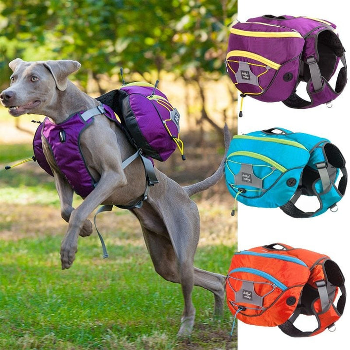 Waterproof dog hiking backpack with multiple compartments, ideal for carrying pet accessories