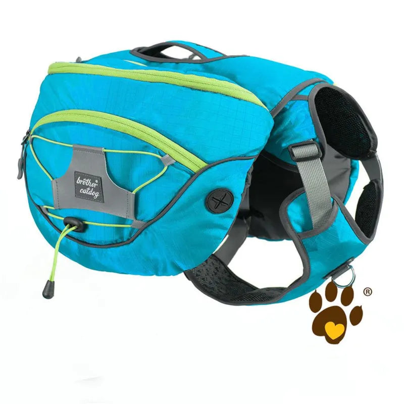 Dog wearing an outdoor dog gear backpack, showcasing its comfortable fit and sturdy design