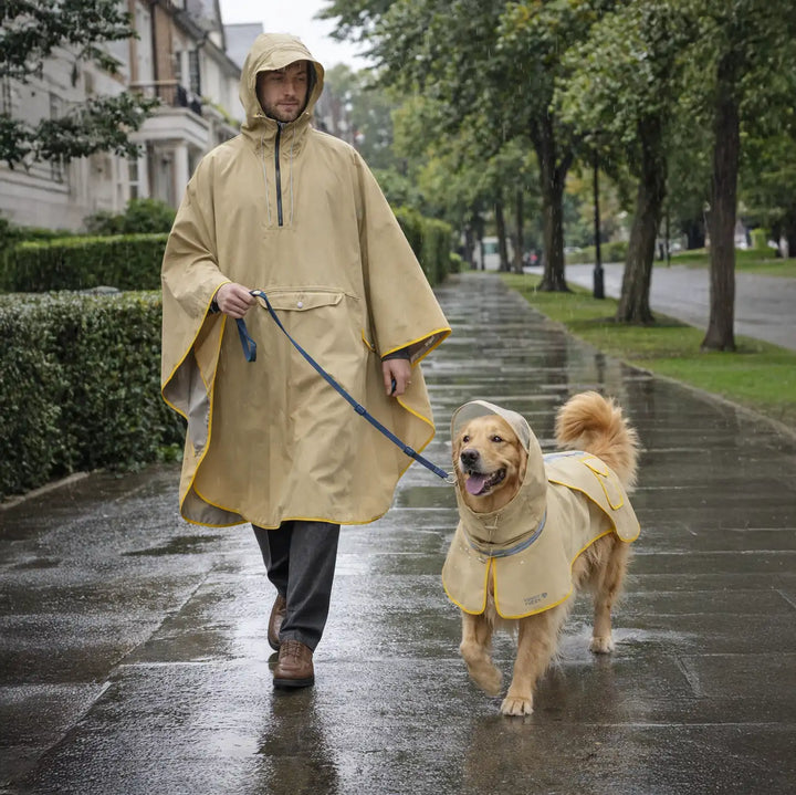 Dog & human matching waterproof raincoats, side view, bright yellow, reflective strips, for outdoor adventures
