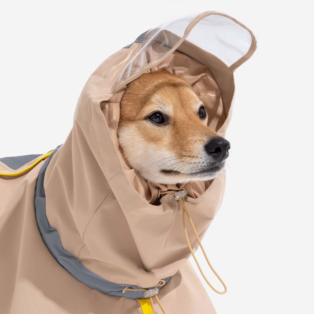 Happy dog wearing a yellow waterproof raincoat, playing in puddles, with reflective strips, adventure gear