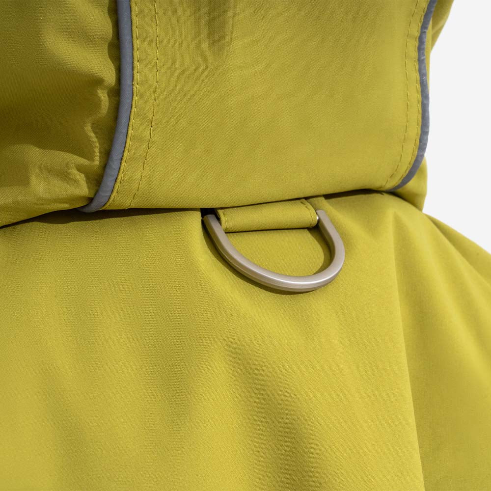 Puppy wearing a small, adjustable blue waterproof raincoat, sitting obediently, ready for a rainy walk