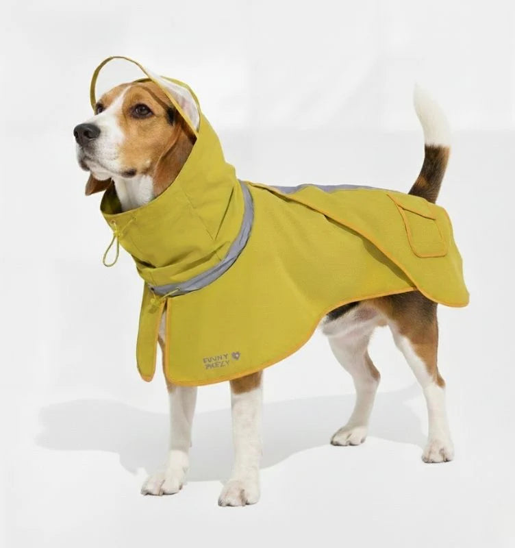 Back view of a large dog in an adjustable blue waterproof raincoat, showing the coverage and reflective strip