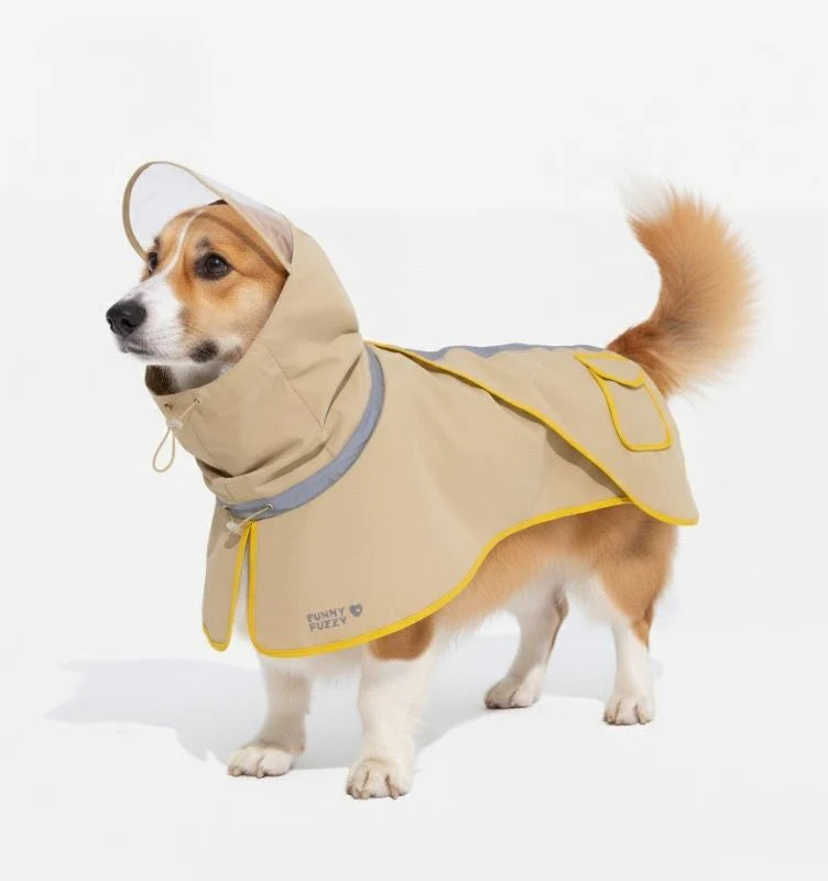 Small dog in a yellow waterproof raincoat, looking up at its owner, ready for outdoor playtime, pet apparel
