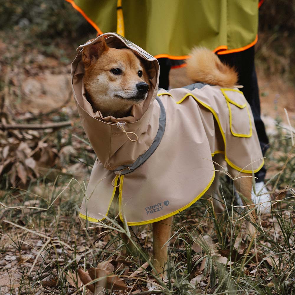 Small dog wearing an adjustable yellow raincoat, standing in grass, reflective trim visible, for wet weather