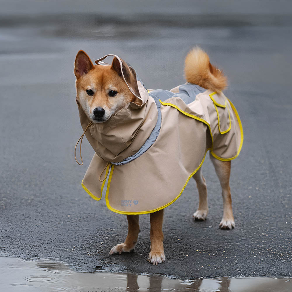 Golden retriever and owner walking in park, both wearing matching green waterproof raincoats, overcast day