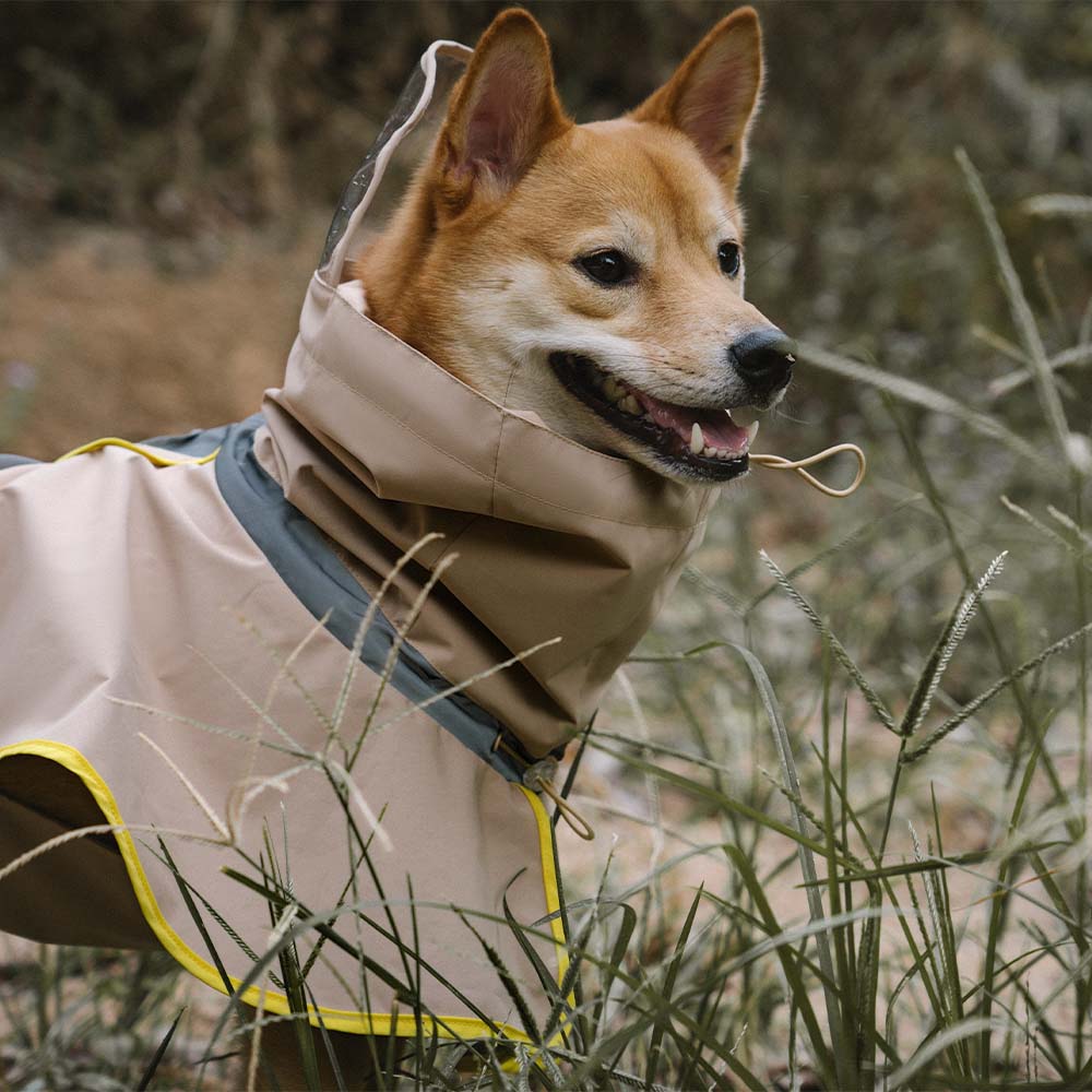 Human model adjusting the hood of a matching blue waterproof raincoat, highlighting the functional design
