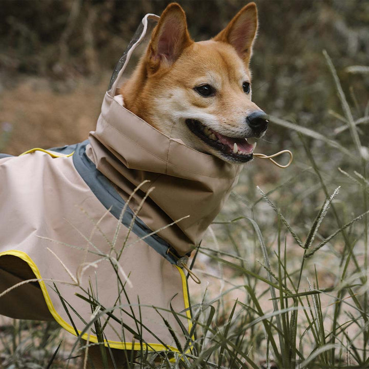 Human model adjusting the hood of a matching blue waterproof raincoat, highlighting the functional design
