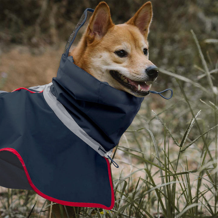 Side view of a large dog in a red waterproof raincoat, reflective elements for low light visibility, durable