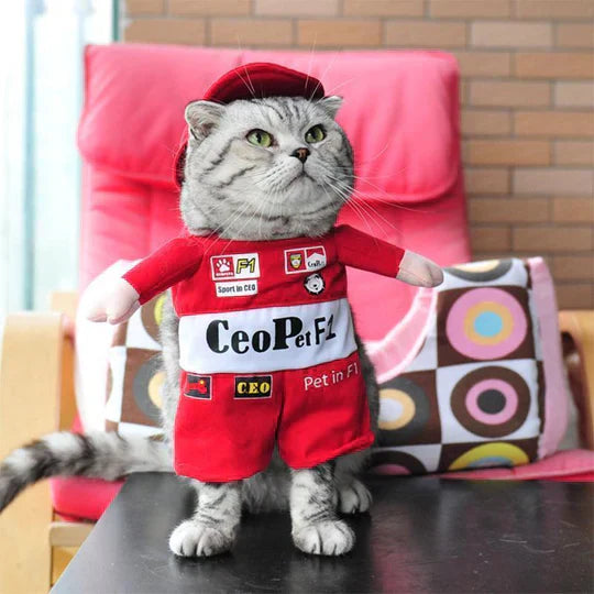Pet costume display, showcasing various funny pet clothes for dogs and cats.