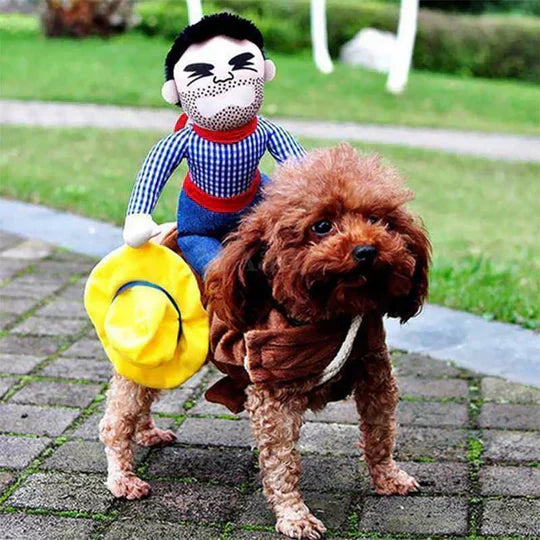 Small dog in a cowboy pet costume with hat, a cute and comfortable animal outfit.