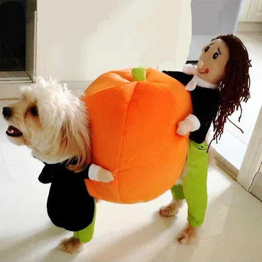 Back view of a dog wearing a pet costume, highlighting comfort and design.