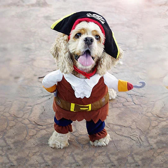 Cat wearing a cute lion's mane pet costume, soft and fun for any occasion.