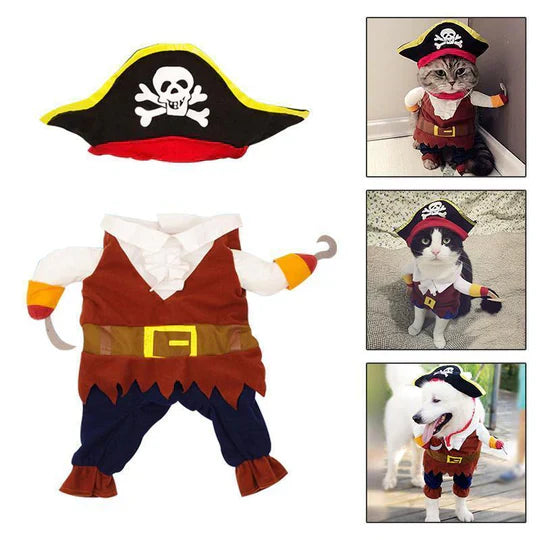 Small dog dressed as a pirate with a hat pet costume, ideal for themed parties.