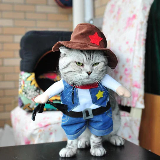 Dog and cat together in matching pet costumes, showcasing versatility and fun.