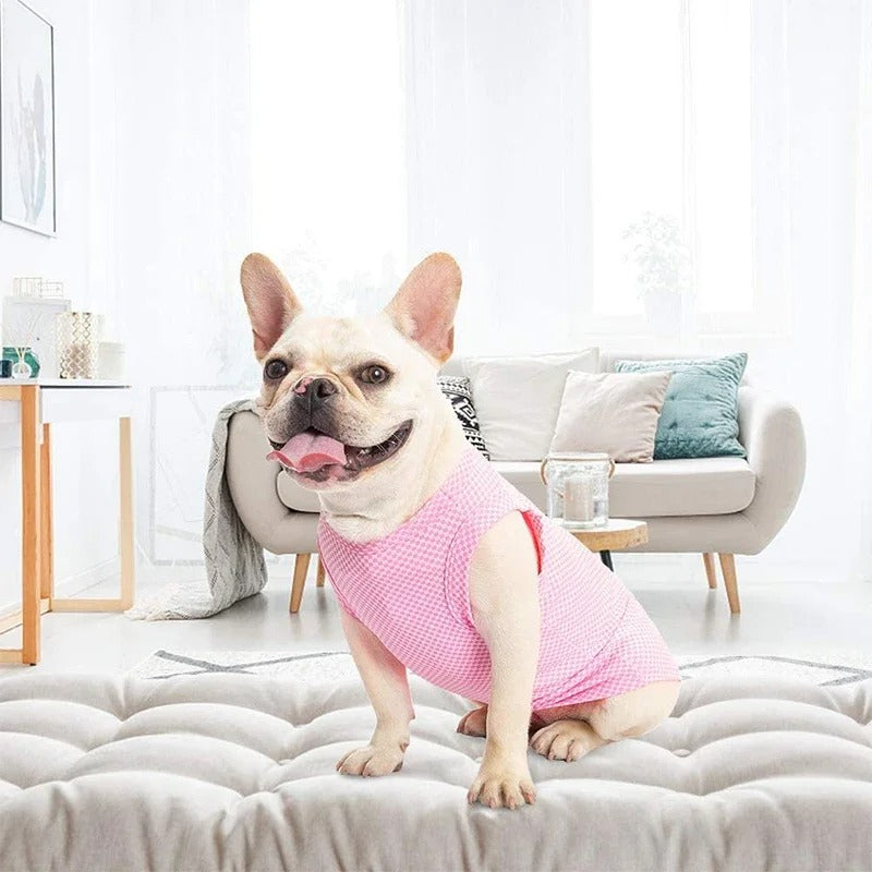 Happy dog wearing a summer cooling shirt, perfect for outdoor activities