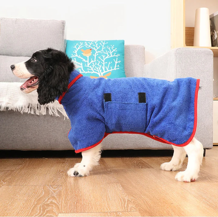Close-up of golden retriever wearing an absorbent microfiber dog bathrobe